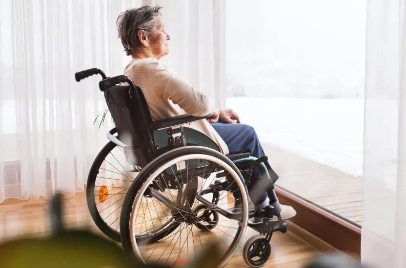 a person in a wheelchair